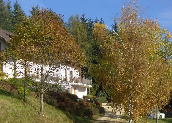 Мини-отель Gasthof-pension Kleinhenner *